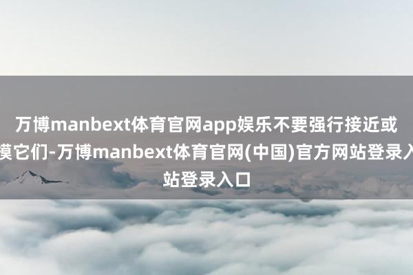 万博manbext体育官网app娱乐不要强行接近或抚摸它们-万博manbext体育官网(中国)官方网站登录入口