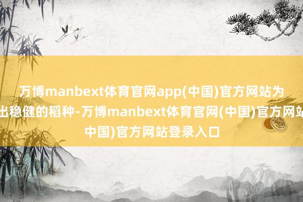 万博manbext体育官网app(中国)官方网站为栽种户挑出稳健的稻种-万博manbext体育官网(中国)官方网站登录入口