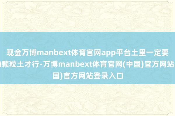 现金万博manbext体育官网app平台土里一定要有饱胀的颗粒土才行-万博manbext体育官网(中国)官方网站登录入口
