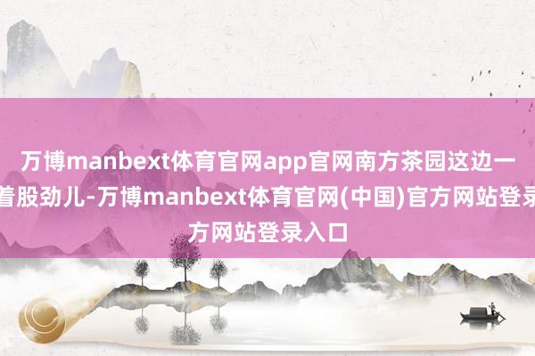 万博manbext体育官网app官网南方茶园这边一直憋着股劲儿-万博manbext体育官网(中国)官方网站登录入口