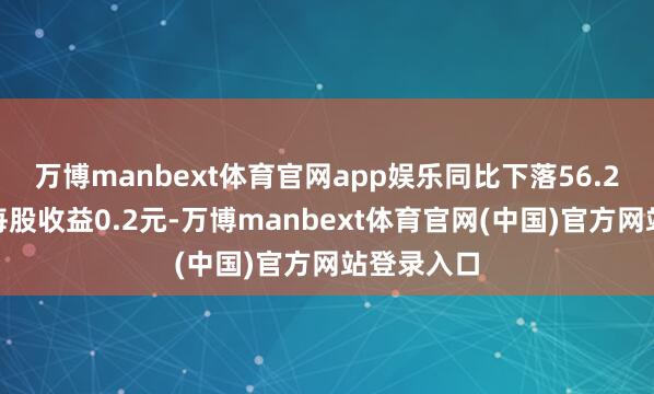 万博manbext体育官网app娱乐同比下落56.2%；基本每股收益0.2元-万博manbext体育官网(中国)官方网站登录入口