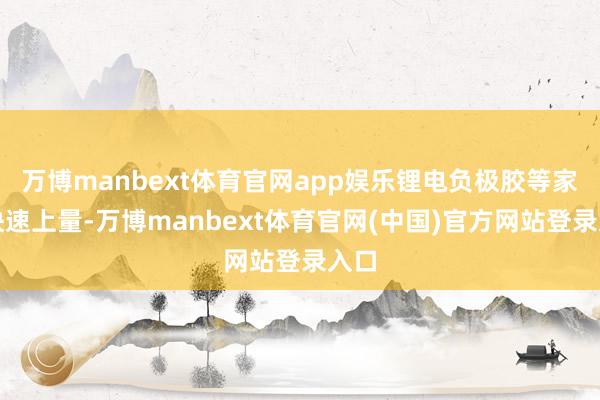万博manbext体育官网app娱乐锂电负极胶等家具快速上量-万博manbext体育官网(中国)官方网站登录入口