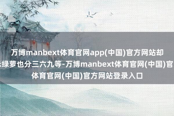 万博manbext体育官网app(中国)官方网站却没东说念主提示绿萝也分三六九等-万博manbext体育官网(中国)官方网站登录入口