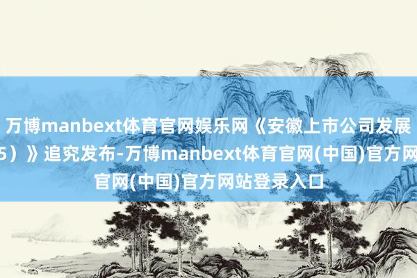 万博manbext体育官网娱乐网《安徽上市公司发展申报（2025）》追究发布-万博manbext体育官网(中国)官方网站登录入口